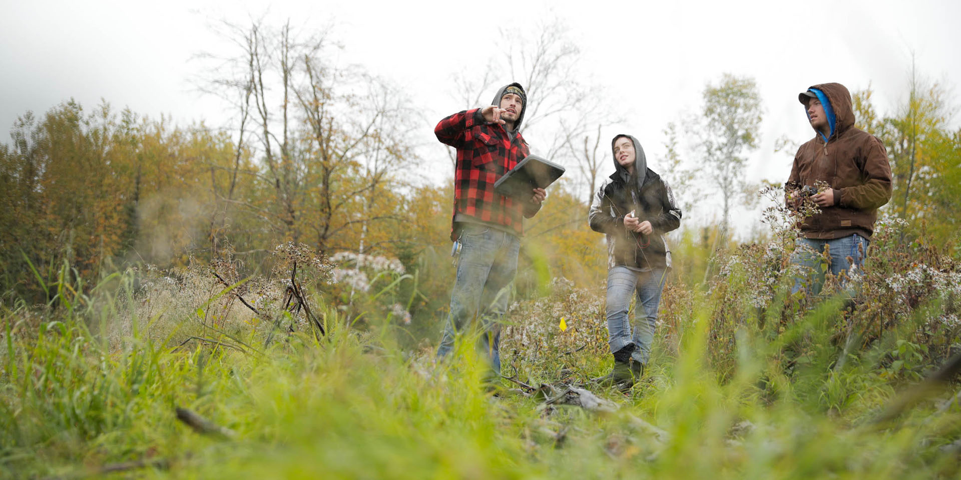 Students surveying the landscape